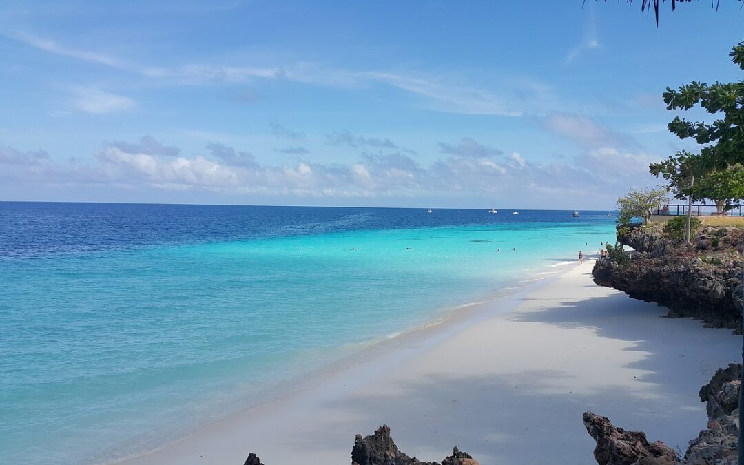 Things To Do in Zanzibar Tanzania