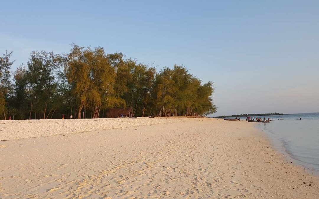 7 Best Beaches in Tanzania You Must Add to Your Travel Bucket List