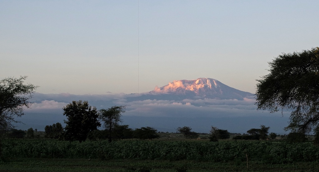 How to Plan A Trip to Kilimanjaro