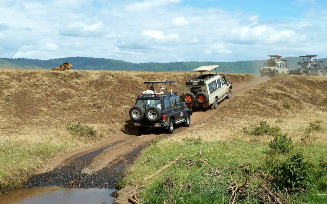 What Cars Do We Use for Our Safaris?