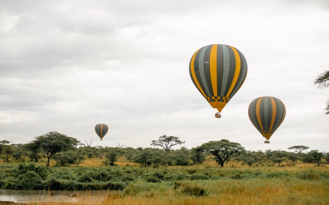 Hot Air Balloon Safaris: A Unique Perspective on Tanzania’s Wild Beauty