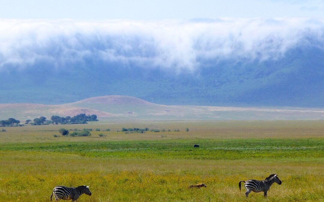 Exploring Ngorongoro Crater: Must-Know Facts for Your Safari Adventure