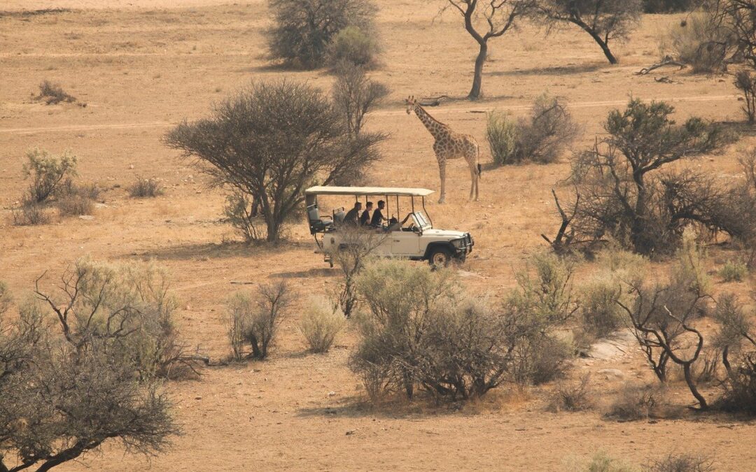Children In The Wild: Are African Safaris Possible With Kids?