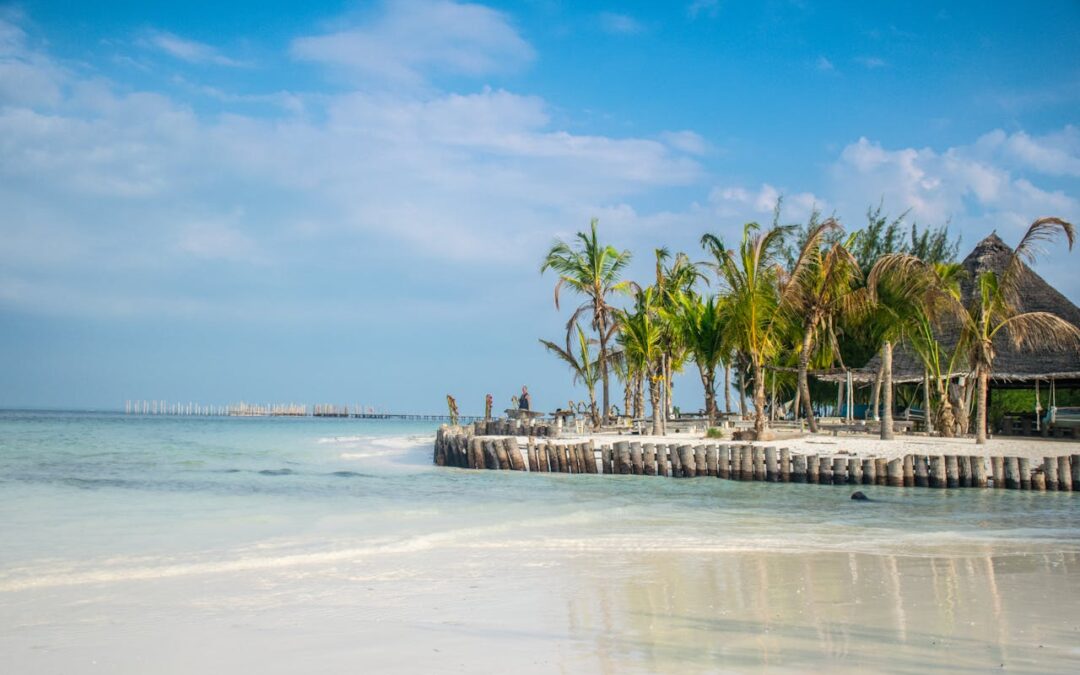 Best Time to Visit Zanzibar: A Month-by-Month Guide
