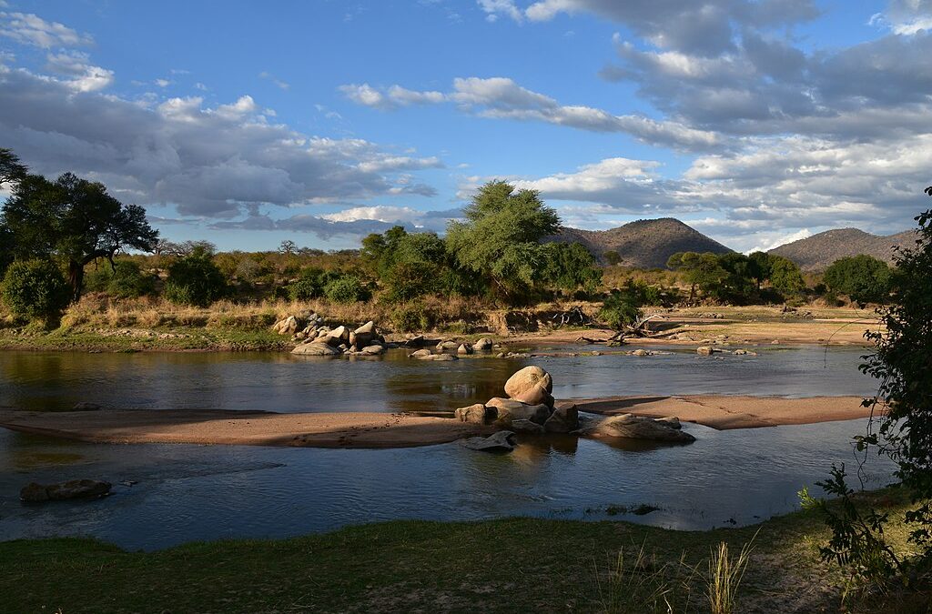 Exploring the Wild in Africa: The Ruaha and Nyerere National Parks in Tanzania