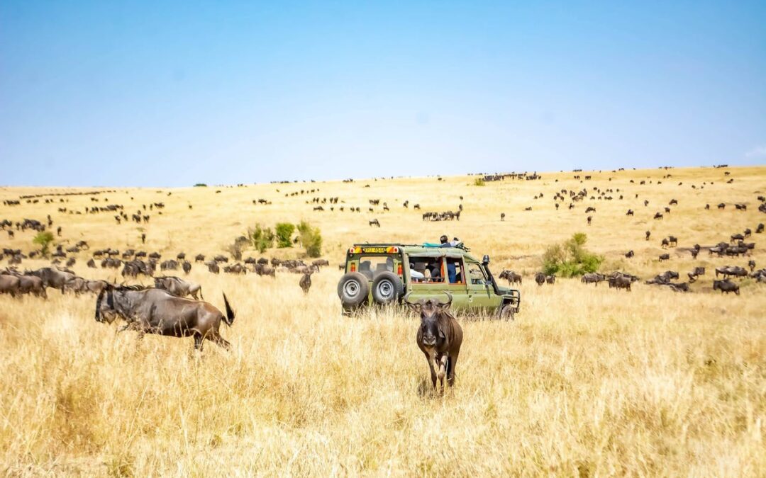 The Magic At Masai Mara: All You Need To Know About The National Park Before You Visit