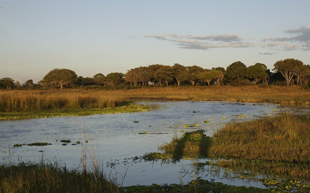 Exploring the Unexplored in Tanzania: A Look at Katavi National Park
