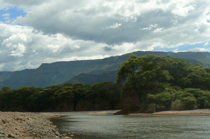 Magic at the Mahale: Looking Closely at the Beautiful National Park in Tanzania