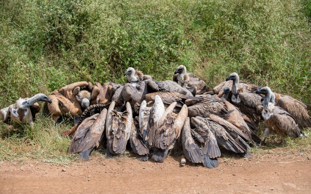 The Best of Holidays in Kenya: Top Destinations to Visit for a Wonderful Holiday