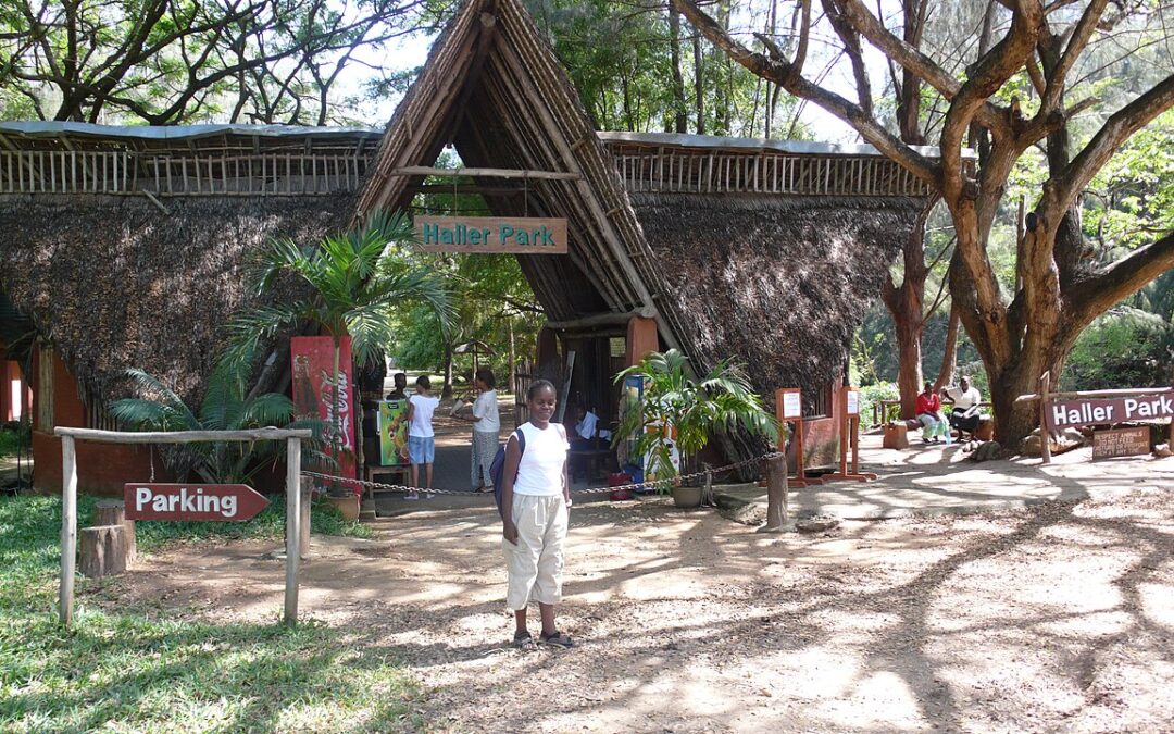 Haller Park: The Animal Haven You’re Looking for in Kenya