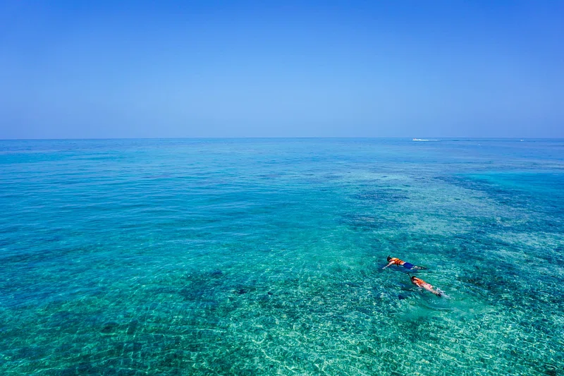 Making Merry at the Mombasa Marine Park: The Perfect Holiday Destination in Kenya