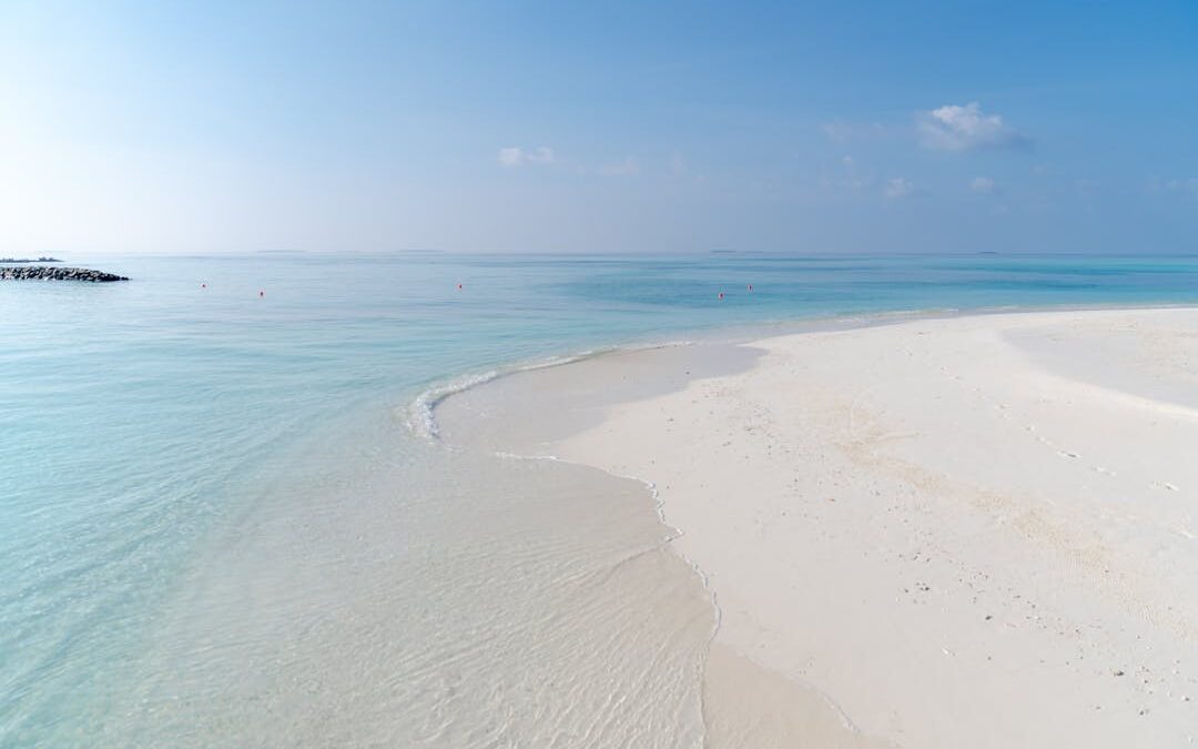 Nakupenda Island Zanzibar: All You Need To Know